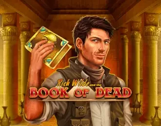 Book of Dead от провайдера Play NGO